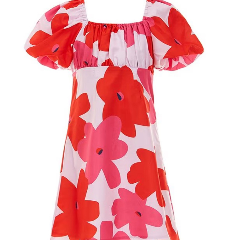 🌸 GB Girls 🌸
Red & Pink Puff-Sleeve Empire Waist Dress